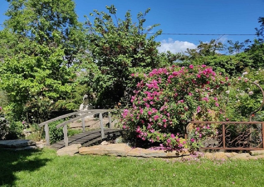 Nadège Naia Studio Marseille jardin